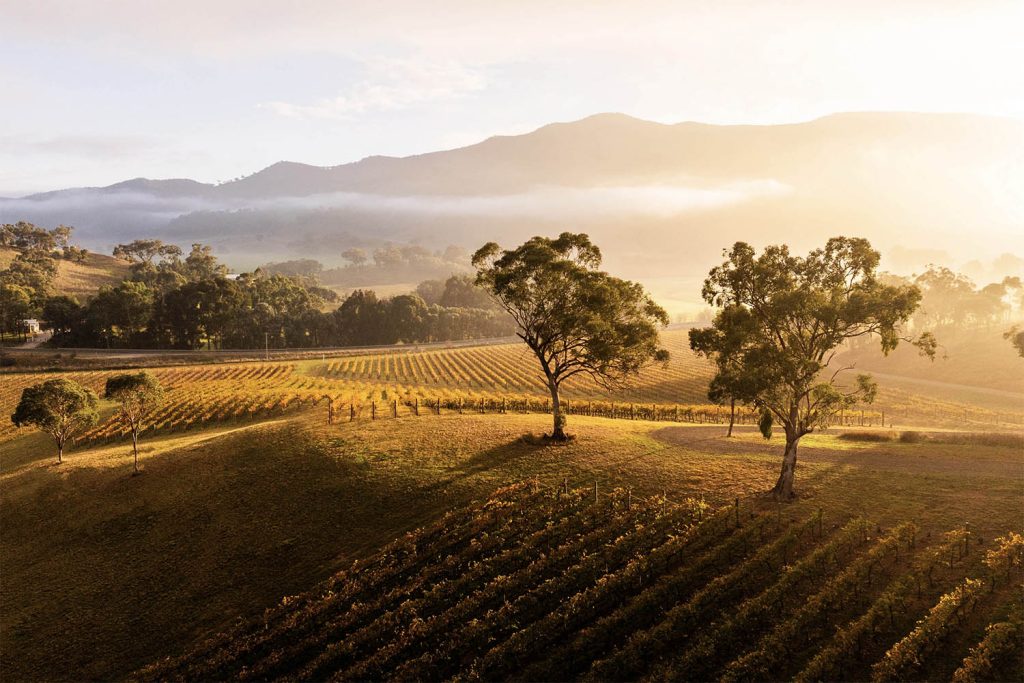 mudgee region wineries shopping food wine nature couples retreat