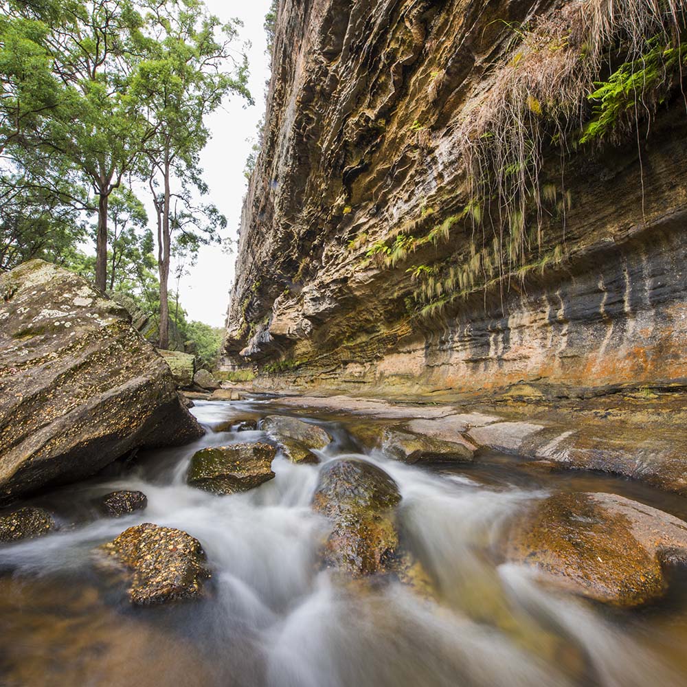 the drip walking trail mudgee